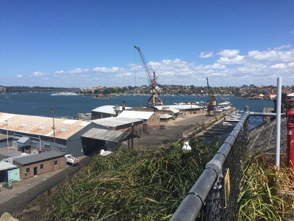 Parramatta River cruise & Cockatoo Island March 2019 Image -5c8d869ed813a